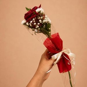 imagem do produto Rosa vermelha Solitária  