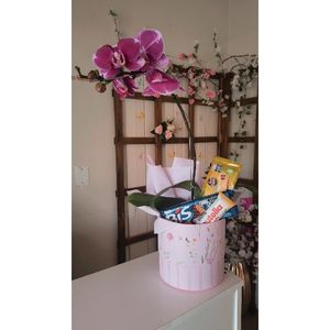 imagem do produto Presente especial orquídea com vaso de acrílico acompanha chocolates 