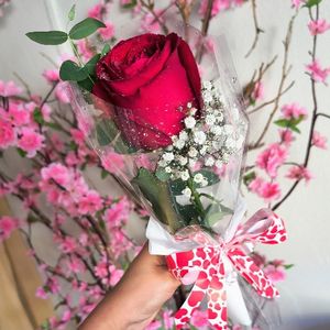 imagem do produto Rosa vermelha Solitária 