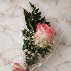 imagem do produto Rosa cor rosé Solitária 