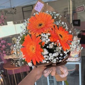 imagem do produto Buquê clássico tradicional 03 gerberas laranja ( limitado ) 
