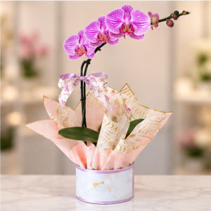 imagem do produto Orquídea 06