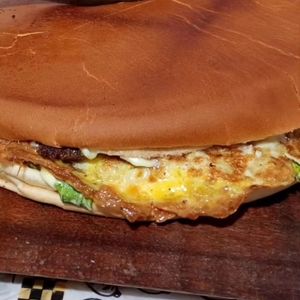 imagem do produto Xis Strogonoff de frango 18cm prensado