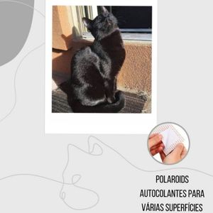 imagem do produto Polaroides adesivos 