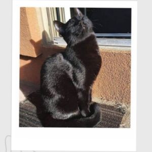 imagem do produto Polaroide tamanho normal 
