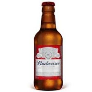 imagem do produto budweiser 330ml