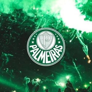 imagem do produto Palmeiras 
