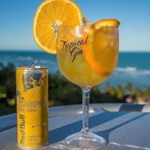 imagem do produto Ginn Tônica + RedBull