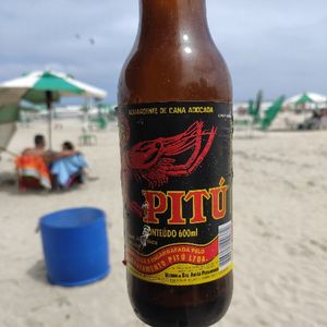 imagem do produto Pytu