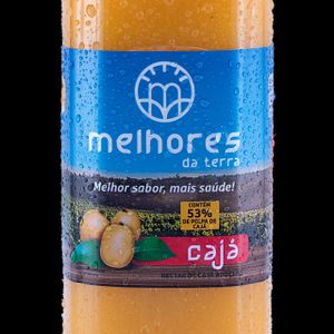 imagem do produto Suco Cajá 300ml