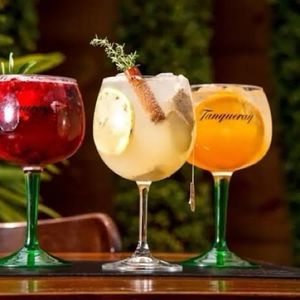 imagem do produto Gin