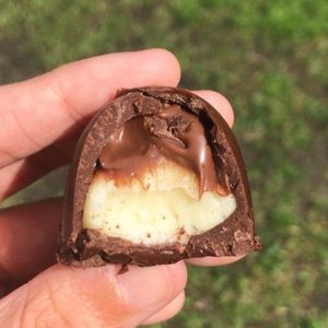 imagem do produto Trufa de ninho com Nutella 