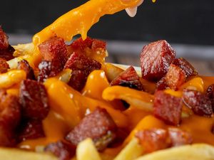 imagem do produto Porção de Fritas Especial