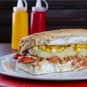 imagem do produto Hot Dog Especial