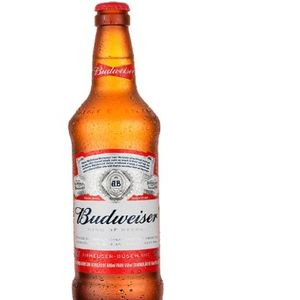 imagem do produto Budweisser longneck 330ml 