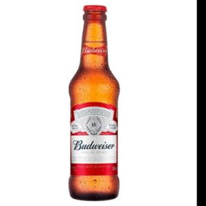 imagem do produto Cerveja Long Budweiser