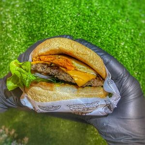 imagem do produto X-EGG