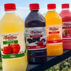 imagem do produto Suco natural Bellas Frutas Caju