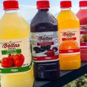 imagem do produto Suco natural Bellas Frutas Goiaba