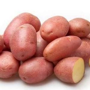 imagem do produto Batata rosa