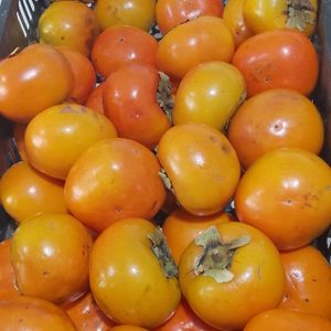 imagem do produto Cáqui