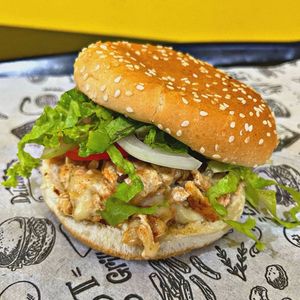 imagem do produto SANDERO ( x-frango )