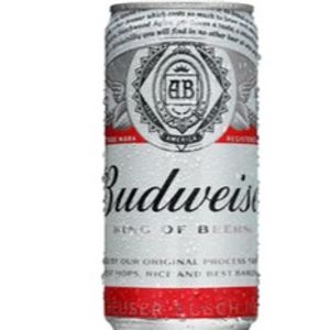 imagem do produto Budweiser 269ml