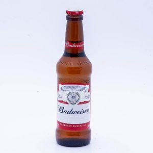 imagem do produto Budweiser geladinha