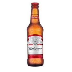 imagem do produto Budweiser Long Neck