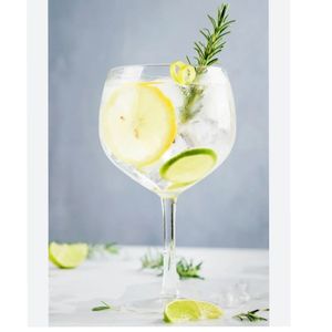 imagem do produto Gin Tônica 