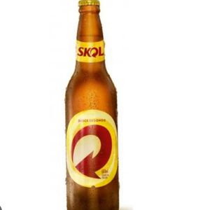 imagem do produto Skol 600 ml