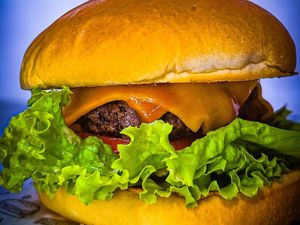 imagem do produto Food Burguer