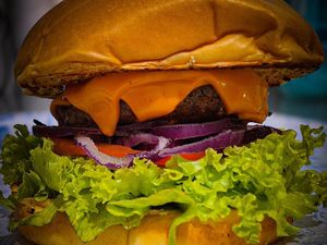 imagem do produto Food Salad Burguer