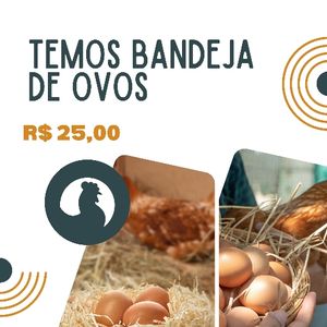 imagem do produto Bandeja de ovos 