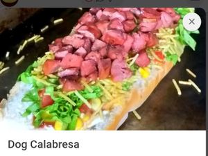 imagem do produto Dog calabresa