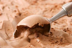 imagem do produto Pote de sorvete 2 litros chocolate