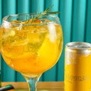 imagem do produto GIN TROPICAL