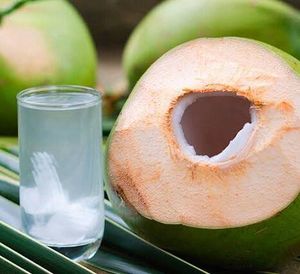 imagem do produto Água de coco