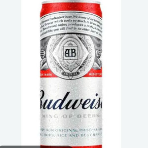 imagem do produto Budweiser