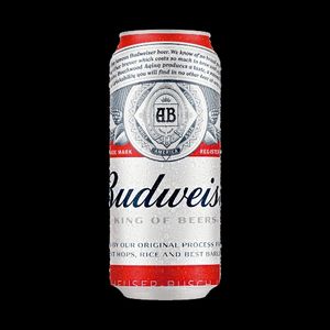 imagem do produto Budweiser Latão 