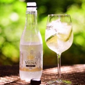 imagem do produto ÁGUA COM GÁS