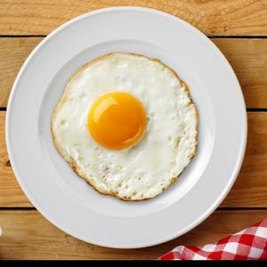 imagem do produto OVO