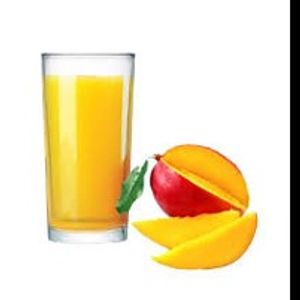 imagem do produto SUCO DE MANGA 300ML