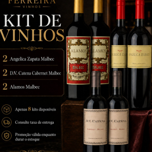 imagem do produto KIT 2 ALAMOS MALBEC, 2 ANGELICA MALBEC, 2 DV CATENA CABERNET MALBEC 