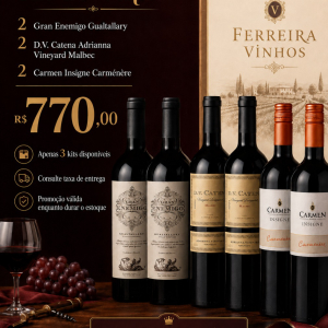 imagem do produto KIT 2 GRAN ENEMIGO GUATALLARY, 2 DV CATENA ADRIANNA VINEYARD MALBEC, 2 CARMEN INSIGNA CARMENERE