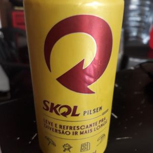 imagem do produto SKOL 269 ML