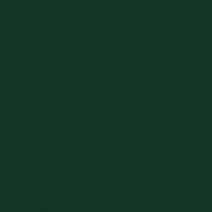 imagem do produto TAPIOCA DE CALABRESA 