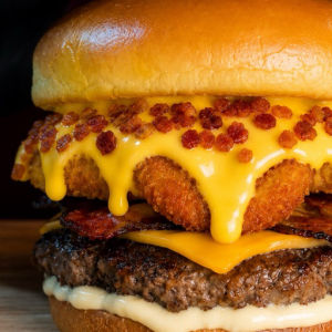 imagem do produto SUCULENTU’S BURGUER