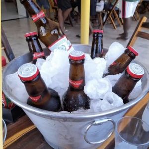 imagem do produto Combo 7 long neck budweiser