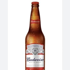 imagem do produto Budweiser 600 ml
